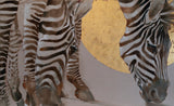 Zebra Montage Triptych I - II - III